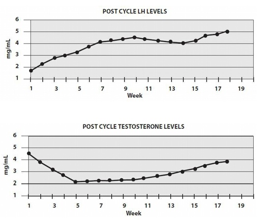 Post steroid cycle LH levels and Testosterone levels grapgs